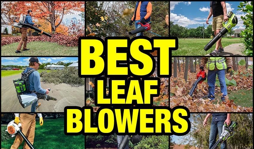 Best Leaf Blower Reviews