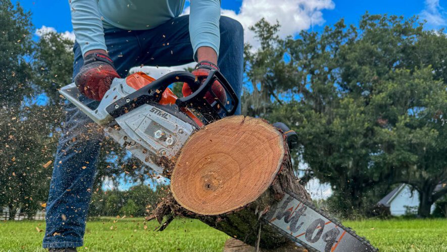 Stihl MSA 300 C-O Chainsaw